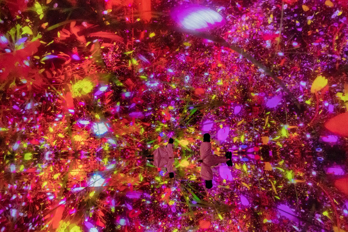 teamLab_net's tweet photo. “Floating in the Falling Universe of Flowers”
A seasonal year of flowers bloom and change with time, life spreads out into the universe.
・
On view at “teamLab Massless Beijing”
Dec 24, 2022 - Permanent
https://t.co/zA61uyJFBz
#teamLabMassless https://t.co/taJdWDYsoN