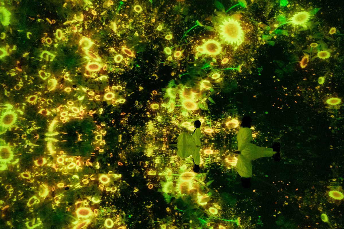 teamLab_net's tweet photo. “Floating in the Falling Universe of Flowers”
A seasonal year of flowers bloom and change with time, life spreads out into the universe.
・
On view at “teamLab Massless Beijing”
Dec 24, 2022 - Permanent
https://t.co/zA61uyJFBz
#teamLabMassless https://t.co/taJdWDYsoN