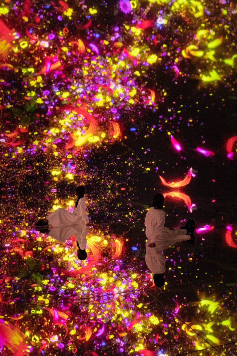 teamLab_net's tweet photo. “Floating in the Falling Universe of Flowers”
A seasonal year of flowers bloom and change with time, life spreads out into the universe.
・
On view at “teamLab Massless Beijing”
Dec 24, 2022 - Permanent
https://t.co/zA61uyJFBz
#teamLabMassless https://t.co/taJdWDYsoN