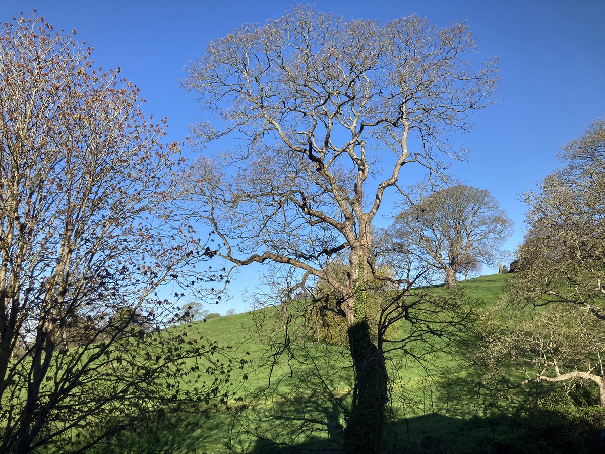 EmilioForBath's tweet photo. Good Morning . Enjoy the beautiful day ! #LoveBath https://t.co/7EdqTYGviU