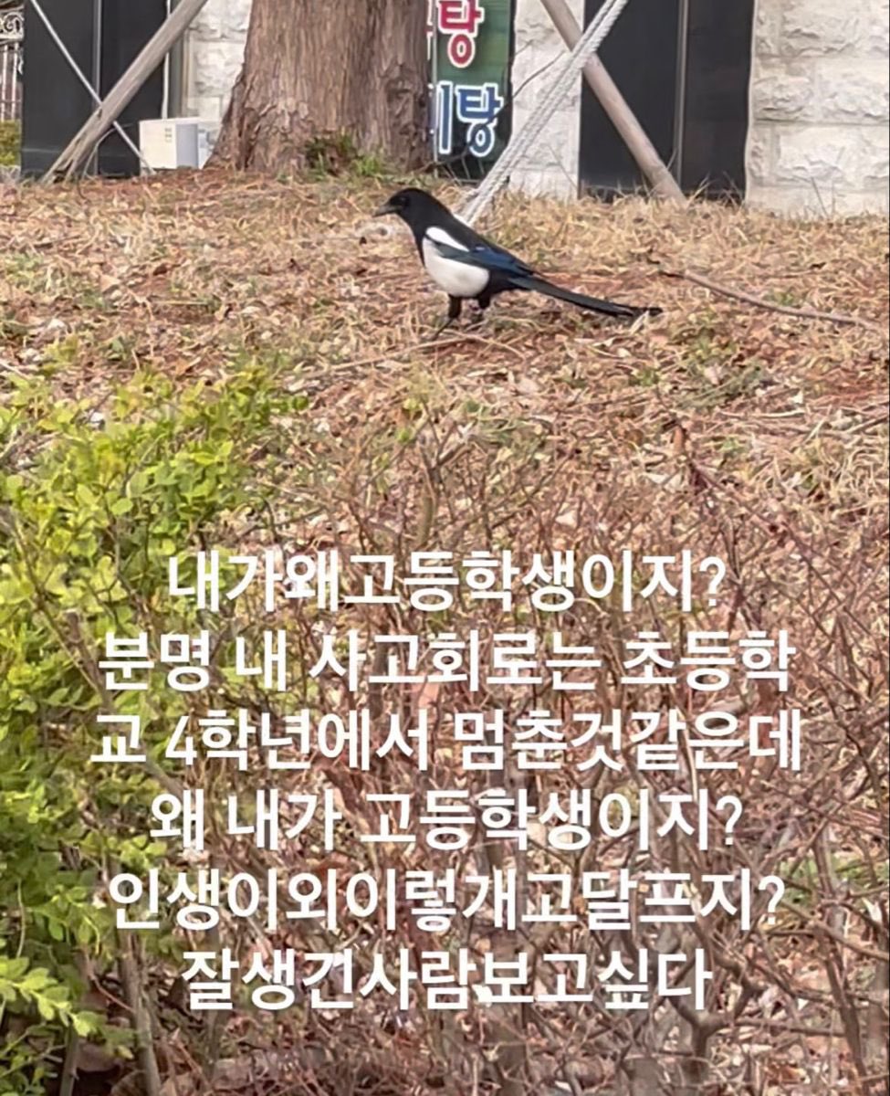 myfavzzal's tweet photo. https://t.co/J7M3w3qnKc