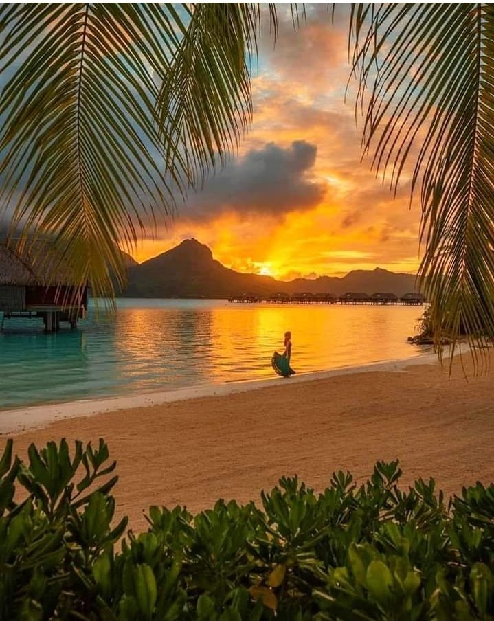 ruben_corella's tweet photo. #hello #hellolife #tnankyoulife #seashore #beach #sand #sandlover #beachboys #beachgirls #reflejos #goldensun #heatwave https://t.co/nDBlOByCxa