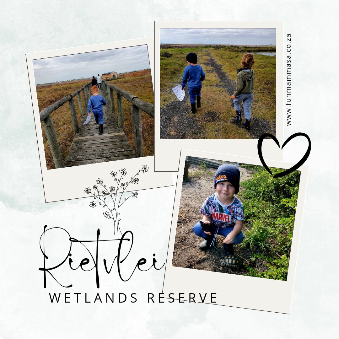 mamma_fun's tweet image. Read my latest blog on Rietvlei wetlands 

funmammasa.co.za/a-visit-to-rie…

#travelblogger #samomblogger