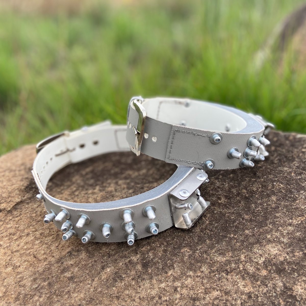 WildlifeACTInno's tweet photo. Anti-snare tracking collars, with metal plating to catch the snare wire, are a vital additive to the conservation community &amp; are needed in parts of South Africa where snaring of endangered species is rife.

#tech #antisnare #wilddogsofafrica #protect #wildlife 
@wildlifeact https://t.co/Shgc3QAICY