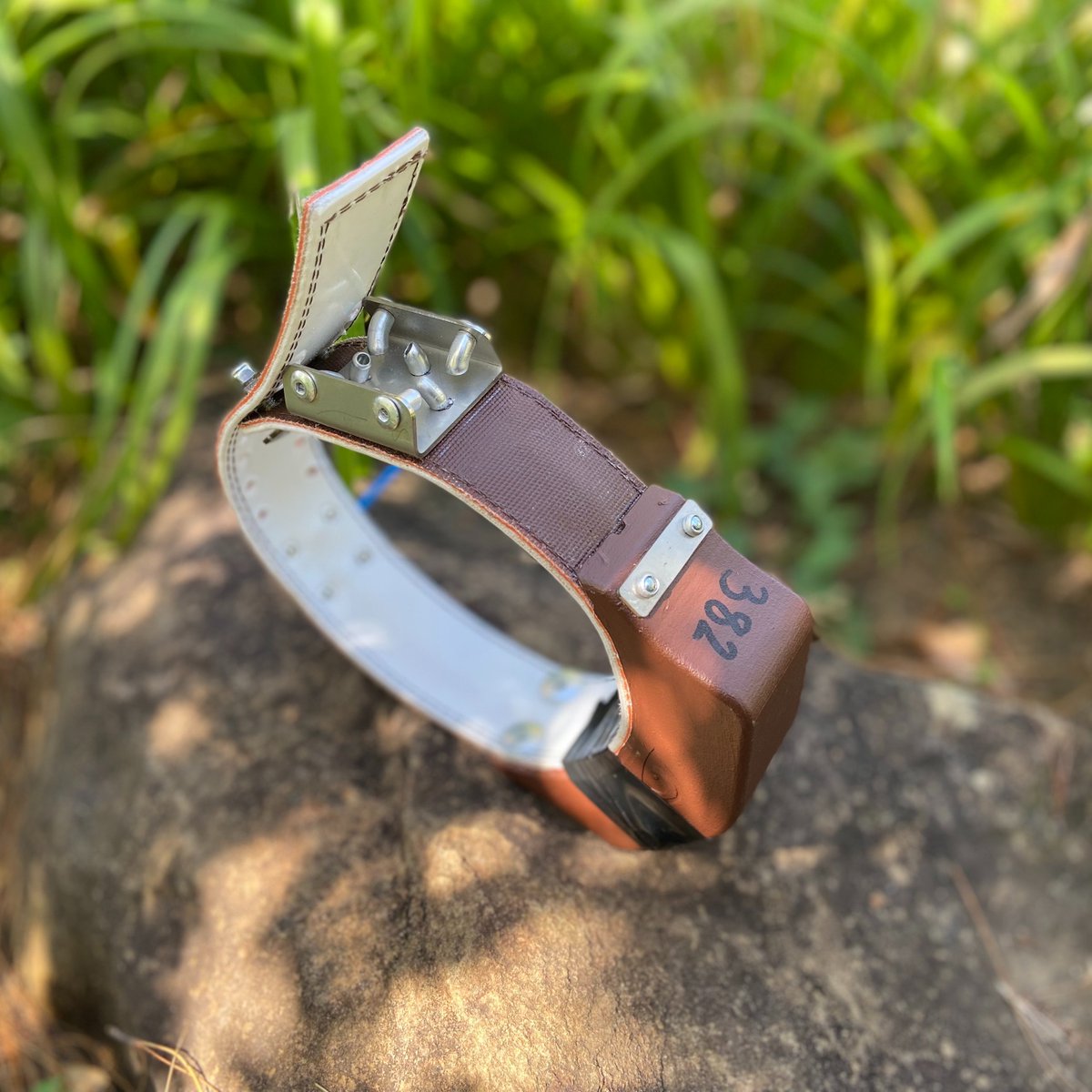 WildlifeACTInno's tweet photo. Anti-snare tracking collars, with metal plating to catch the snare wire, are a vital additive to the conservation community &amp; are needed in parts of South Africa where snaring of endangered species is rife.

#tech #antisnare #wilddogsofafrica #protect #wildlife 
@wildlifeact https://t.co/Shgc3QAICY