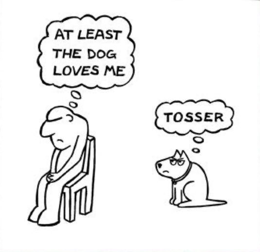 brokenchaise's tweet photo. My beloved dog, Fangtastique, even recognises my achievements https://t.co/gykEtmlUFB