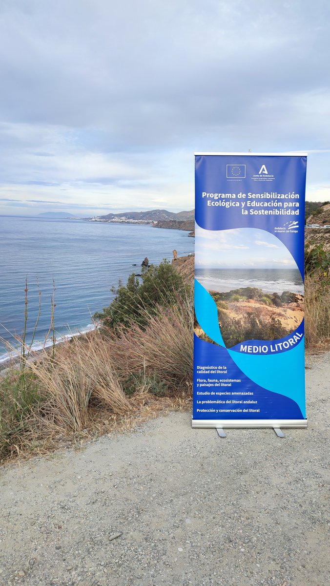 Green Globe SyPA tweet media