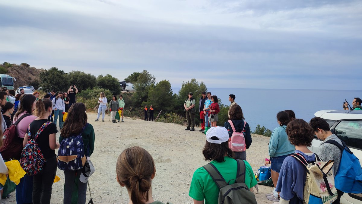 Green Globe SyPA tweet media