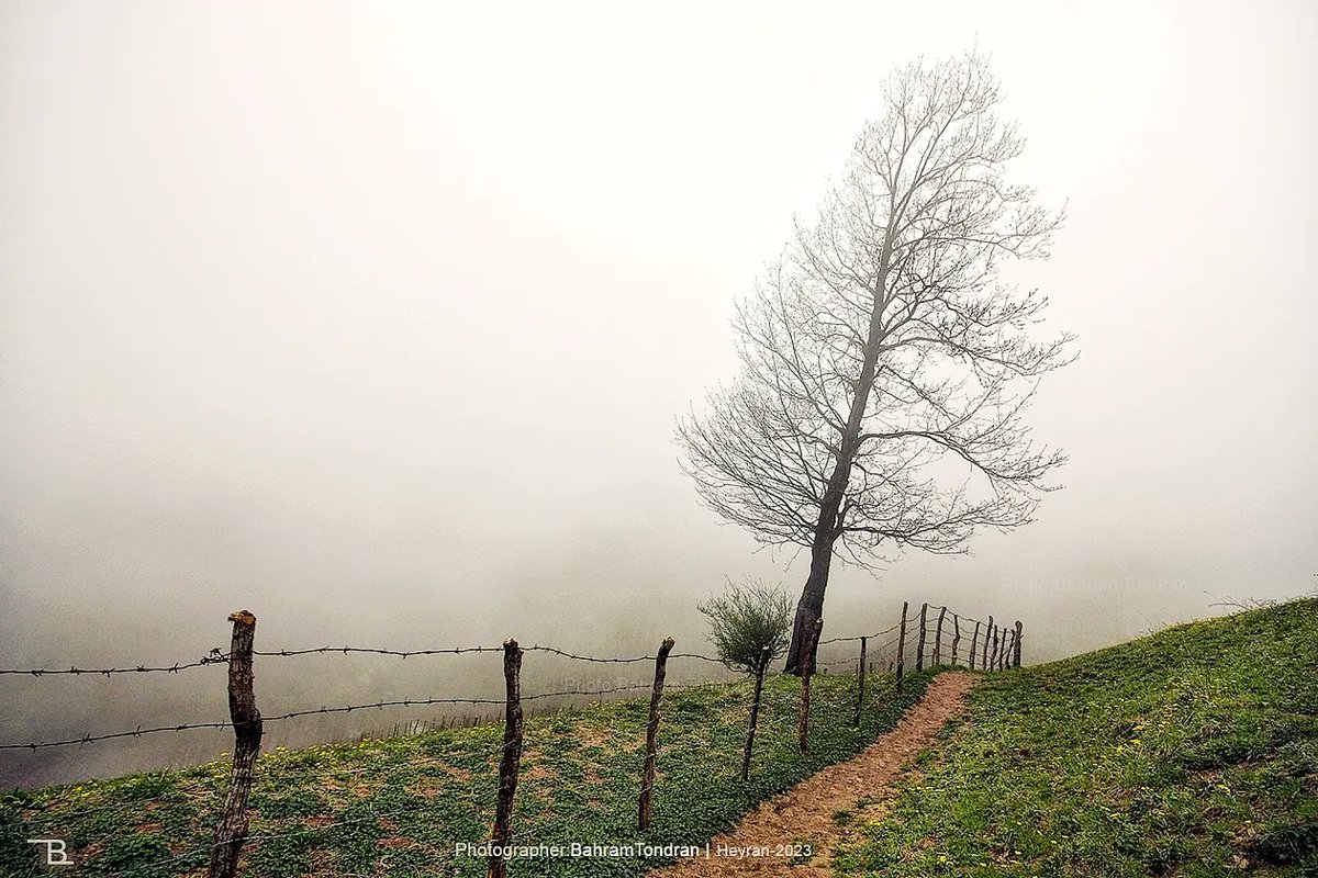 Tondranbahram's tweet photo. با خویشتنم خوش است؛زین پس من و من 
#شمس 
#trees #tree #nature #naturelovers #alonetree https://t.co/ocf3TUxwgf