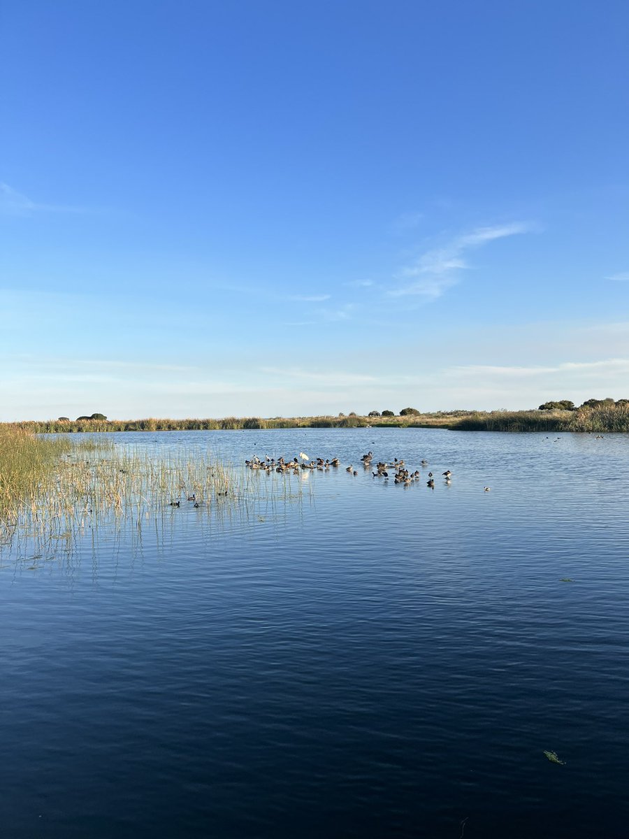 It was a beautiful day today in Melbourne. Did a long walk along the shore with the hubby - so nice.
