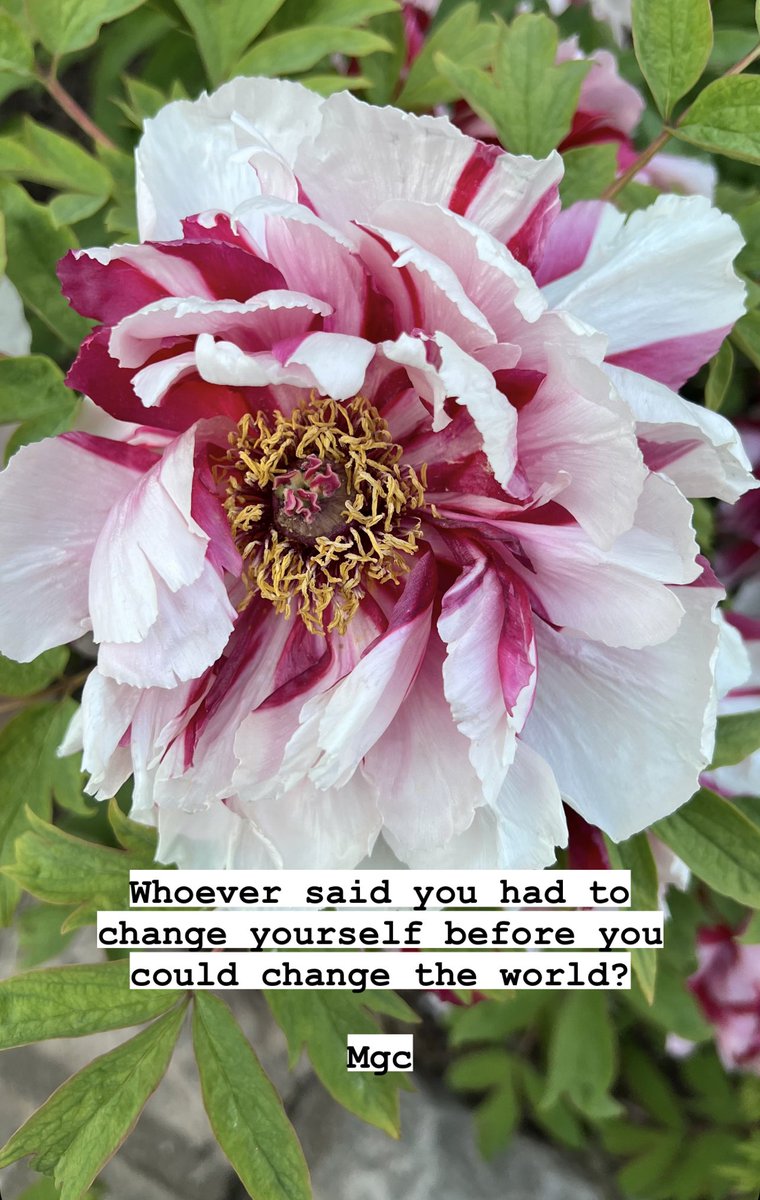 psbypina's tweet photo. #trytuesday #poetry #flowers #photography follow @nonfluencerl7 on #instagram https://t.co/0viIH5cabl