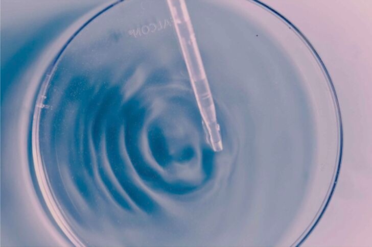 Zorba Group tweet media