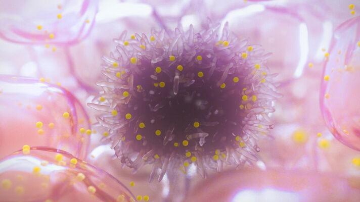 Zorba Group tweet media