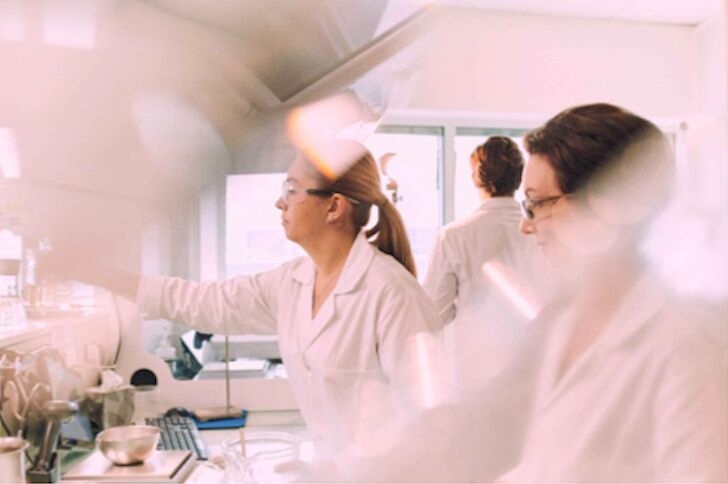 Zorba Group tweet media