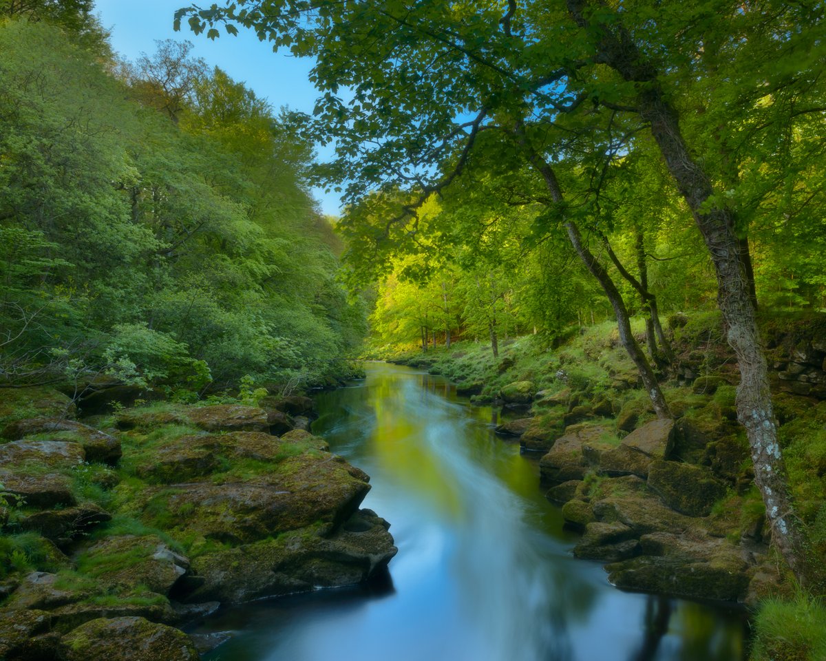 yorkshire_dales's tweet photo. The #Strid is your #PicOfTheDay 🍃
Although it looks pretty tranquil here this is a pinch point in the river where the rocks on either side are almost close enough to 'stride' across. Don't be tempted - the water is deep and fast flowing with hidden crevices.
📸 Kev Lockwood https://t.co/vXITVhuxCG
