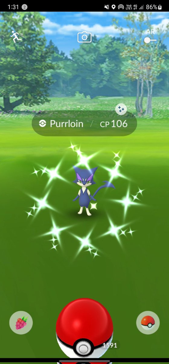 Purrloin finally did the thinggg 😍🤣 (home spawn)