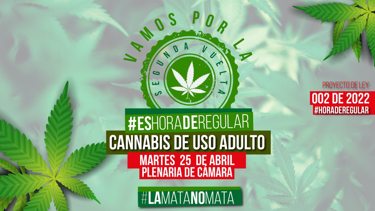 JuanKarloslos's tweet photo. Hoy de nuevo tenemos prueba de fuego para que nuestro proyecto de #CannabisDeUsoAdulto avance y sea aprobado en 6to debate en Plenaria de @CamaraColombia  
Una oportunidad histórica para dar el primer paso y avanzar en una nueva política de drogas #EsHoraDeRegular #LaMataNoMata https://t.co/sWy0cLT7Kl