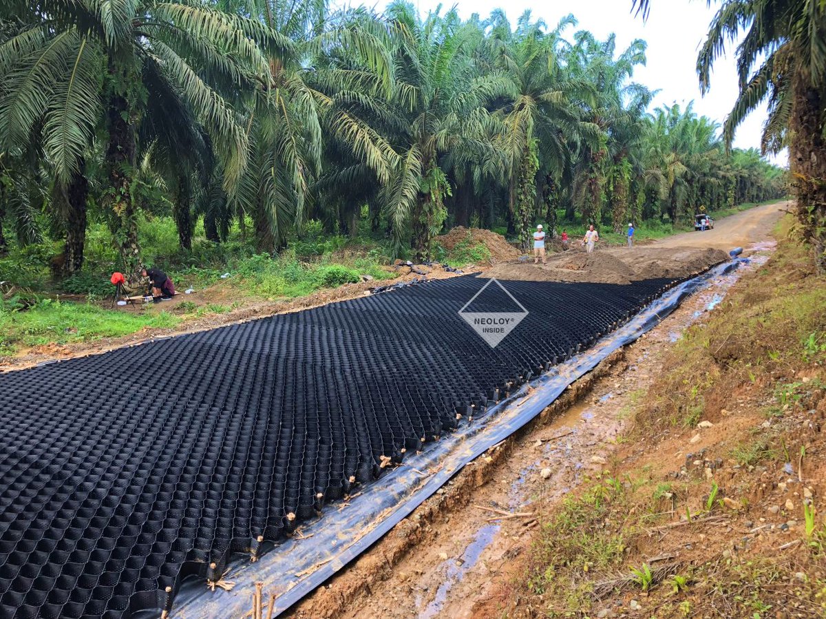 PRSGeotech's tweet image. 🌴🚧PRS Geo-Tech tames tough terrain! Neoloy Tough Cell stabilizes 𝐂𝐁𝐑 &amp;lt;3% soil in #Indonesia's 🌴plantations for 50+ trucks/day🚚 Intl. Certified &amp;amp; built to last

For top #civilengineering &amp;amp; #construction solutions, trust PRS. #sustainability #roads 🔗bit.ly/3Zy8PD6