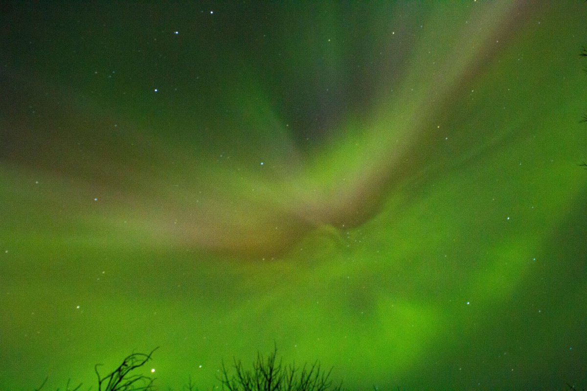 Dlope Works Photography tweet media