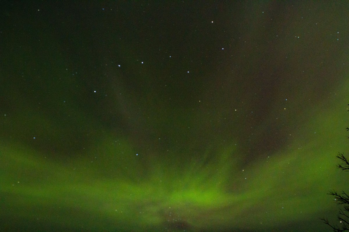 Dlope Works Photography tweet media