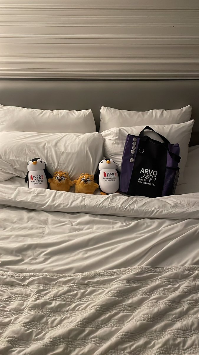 Tiffany Yee (@tiffanyyee12) on Twitter photo Francesca, Willow, Wally, and Andrea had a great 2nd day at #ARVO2023 time to rest up for day 3! <a href="/emilyrnett/">Emily Nettesheim</a> <a href="/WertLaboratory/">Wert Laboratory</a> Francesca, Willow, Wally, and Andrea had a great 2nd day at #ARVO2023 time to rest up for day 3! <a href="/emilyrnett/">Emily Nettesheim</a> <a href="/WertLaboratory/">Wert Laboratory</a>