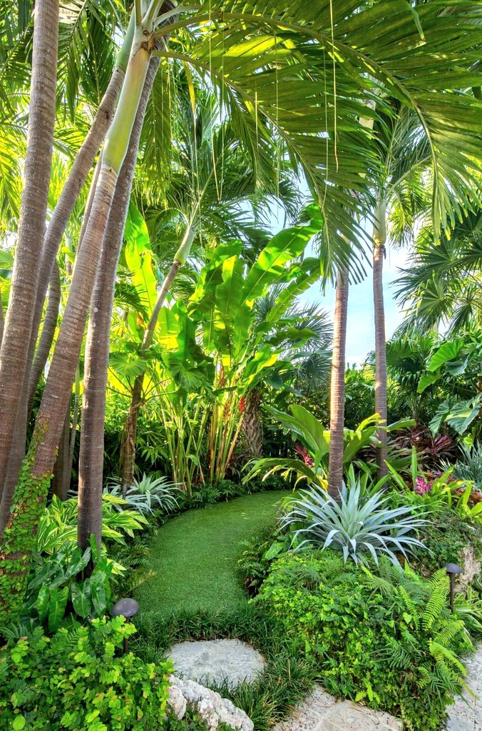 BotaniqueDng's tweet photo. Also, nice rear garden 👌 https://t.co/RNXHUjUpCI