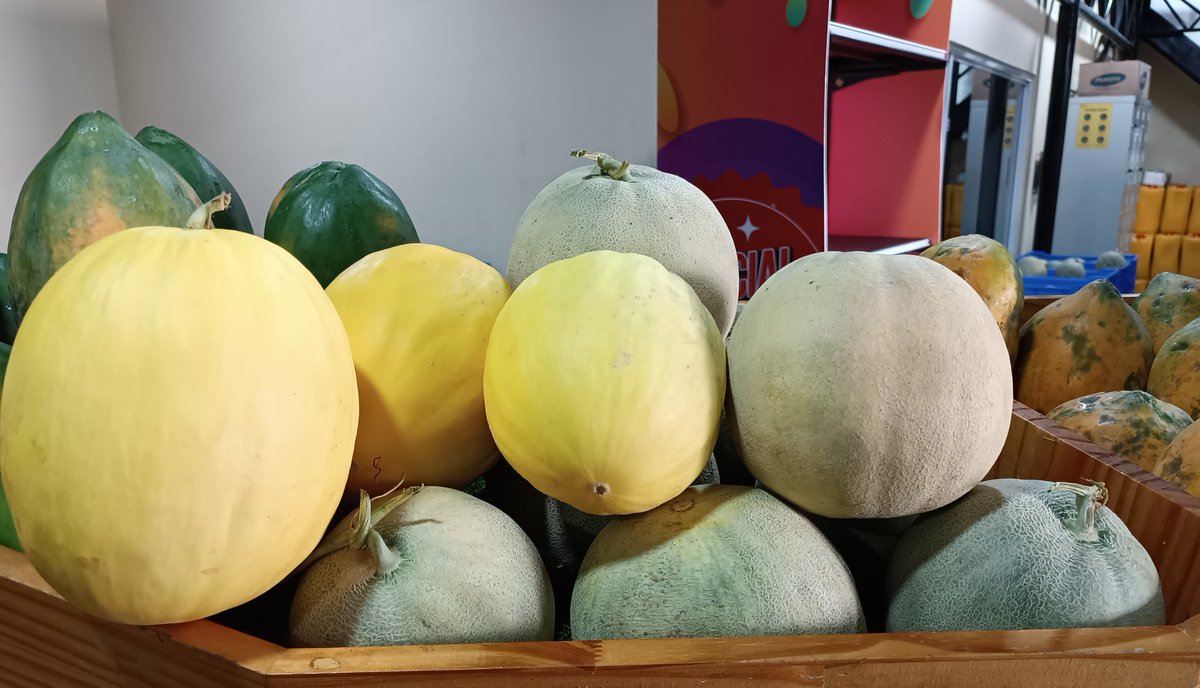 ފ.ދަރަނބޫދޫ އިން ތާޒާ މެލަން ޝިޕްމެންޓެއް މިއަދުވަނީ ލިބިފަ! 😀
ހޯލް ސޭލް: 35 ރުފިޔާ (5 ކިލޯއިން ފެށިގެން).
އޯޑަރު ކޮށްލެއްވުމަށް 3012640 އަށް ގުޅުއްވާލައްވާ، ނުވަތަ 7291130 ވައިބާރ ކޮށްލައްވާ!
💯% #DhivehiUfehdhun 🌱