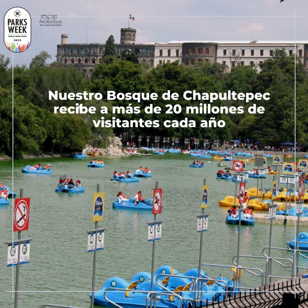 ProChapultepec's tweet photo. Nuestro #BosqueDeChapultepec 🦗 recibe a más de 20 millones de visitantes cada año y, sin importar su edad, género o nacionalidad, lo hace con los brazos abiertos.

¡Bienvenidas al bosque 🌳 que lo tiene todo!

#WUP #WorldParksWeek #MyWUP #GoGreen #ExploreLocal #NatureNeverCloses https://t.co/76DKC2h7TE