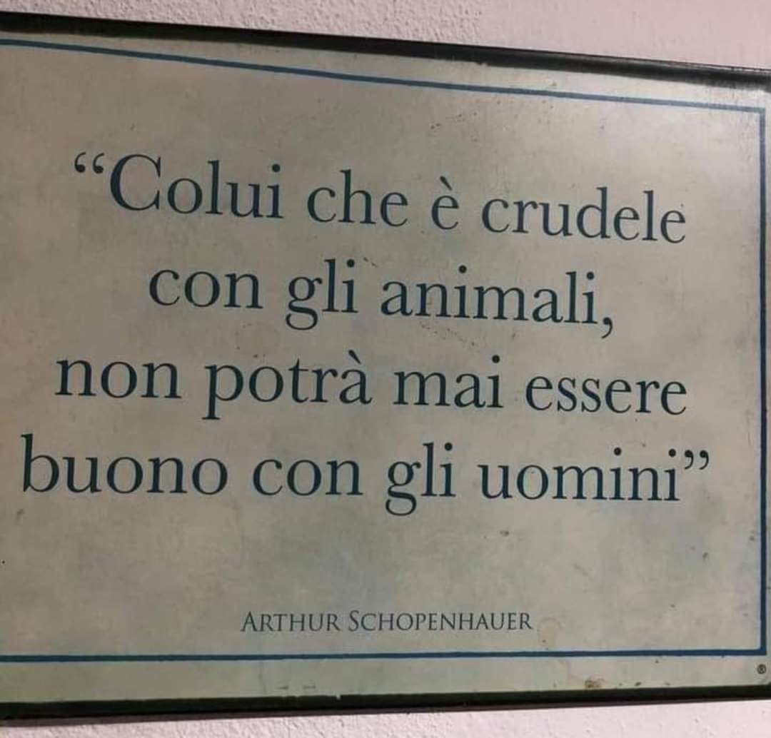 #Trentino, ricordatevelo!

#orsi
#tutela
#natura
#fugattidimettiti
#GovernoMeloni
