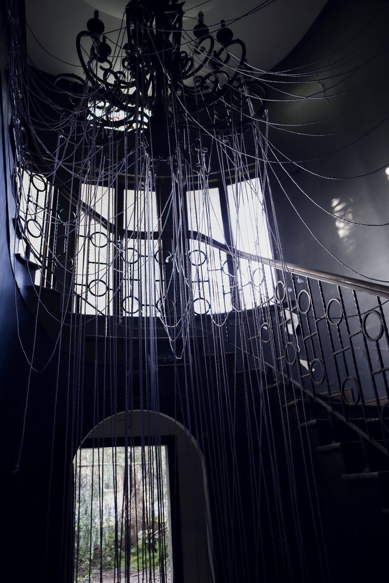 Mosaic cat_maomao tweet media