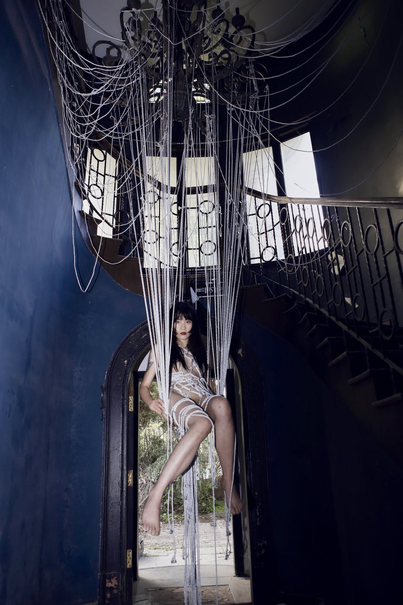 Mosaic cat_maomao tweet media