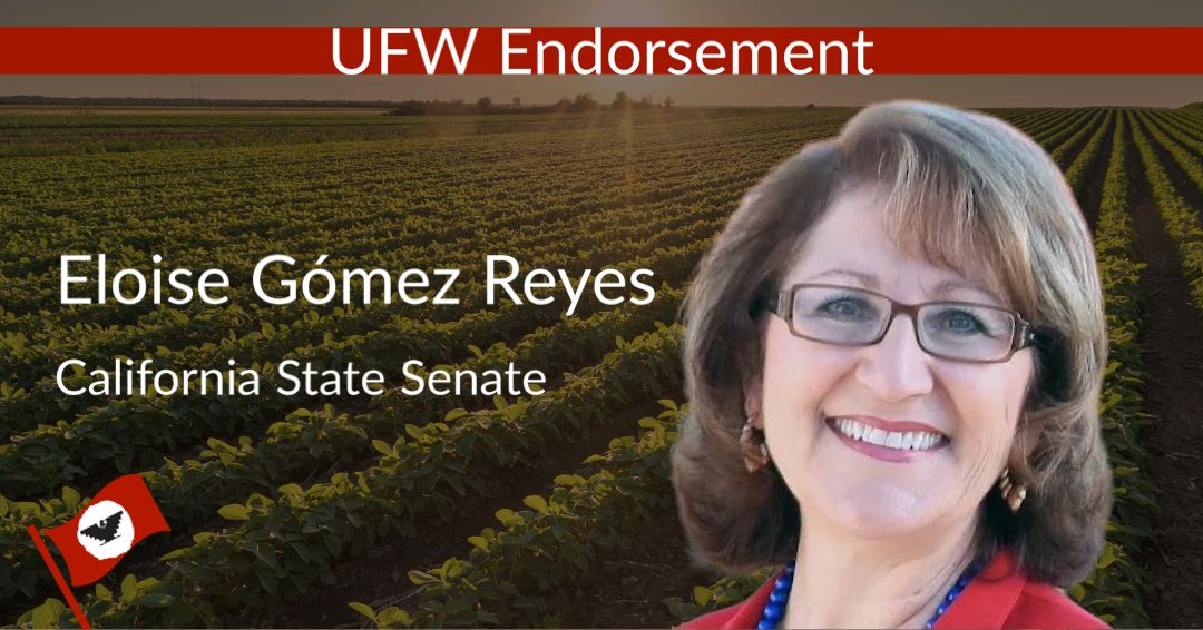 UFWupdates's tweet photo. We are proud to endorse @Eloise4Senate, a fearless champion for the rights of farm workers!

She has fought for workers again and again.

We are excited to continue working with her when she is elected to the State Senate. https://t.co/lCe7DBMC7M