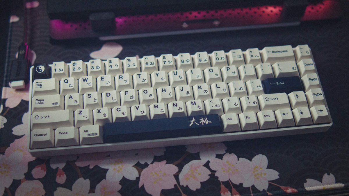 temploboy's tweet photo. thocc thocc thocc https://t.co/mIU8i3SwOM
