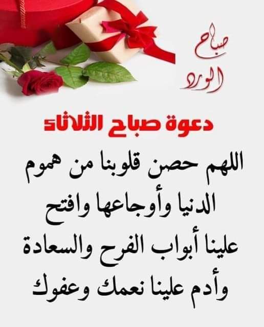 #loyal #AMY🅰️
<a href="/Alaayous3/">alaa amy</a>
<a href="/y11j3/">ابو محمد</a>
<a href="/Gs7dL/">#دعم البرغوث</a>
<a href="/00ZBR/">Zuبair</a>
@cof1532
@ho88_sh
<a href="/kinshi93/">tatsumi93</a>
@ho88_sh
<a href="/chhai22/">Vii Chhai22</a>
<a href="/fif11111/">Fi</a>
@cof1532
<a href="/emelec65/">Jorge García</a>
<a href="/Mamy3545/">Mumu</a>
@BeingGuda
<a href="/Moises_GilT/">Moisés Ramón Gil</a>
<a href="/niazm77911/">Malik writes ✍️</a>
<a href="/Abwayadapsi/">ابواياد العبسي</a>
<a href="/enginkosar74/">enginkosar74</a>
<a href="/aslamjavedch/">Aslam Javed</a>
<a href="/Aly889809Aly/">Aly</a>
<a href="/enginkosar16/">enginkosar16</a>
<a href="/eng_momtaz/">Abdulhalim Momtaz</a>