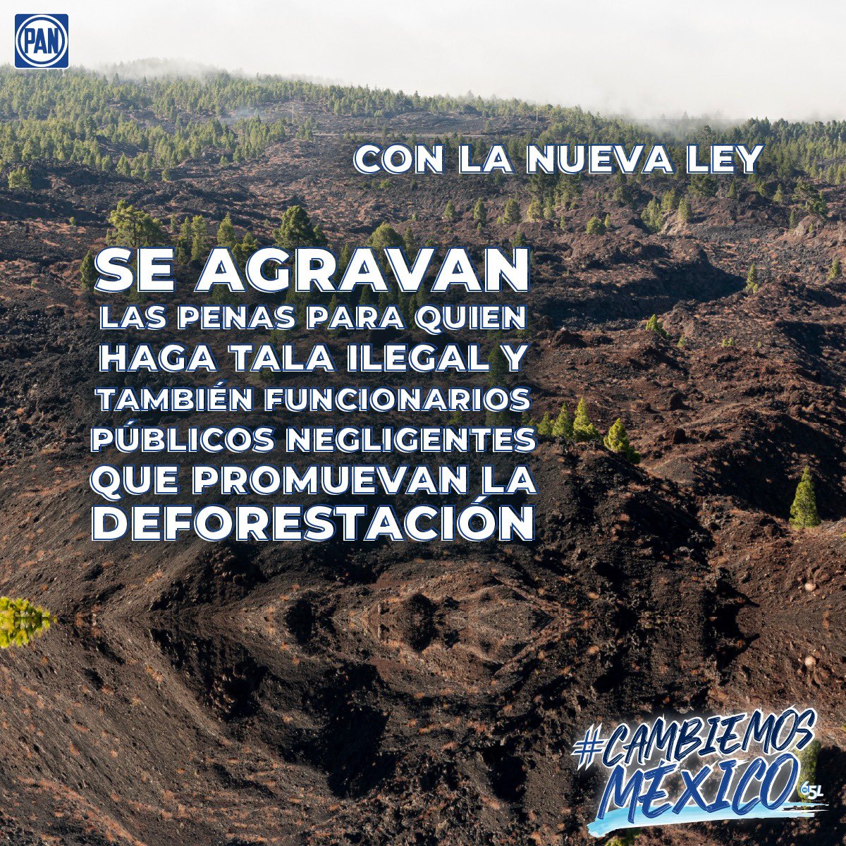 drdesideriotr's tweet photo. En materia de tala ilegal, incrementamos las sanciones a quien, sin autorización, desmonte o destruya la vegetación forestal; corte, arranque, derribe o tale algún o algunos árboles; cambie el uso de suelo en terrenos forestales sin la autorización de una autoridad competente. https://t.co/Hp4PML0MbB