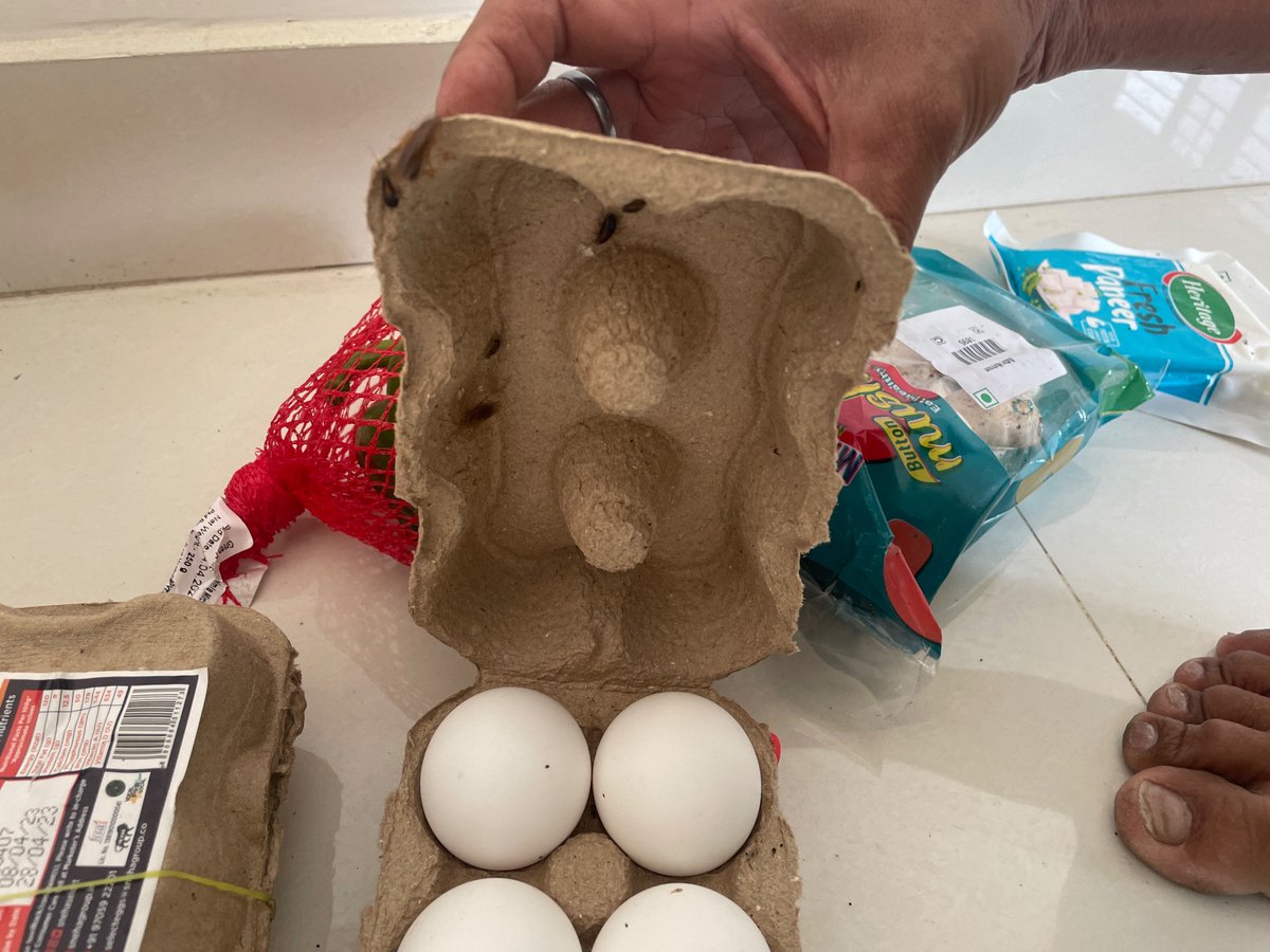 mohapatra65's tweet photo. @Swiggy 
10 minutes insta service will be of no use , if are not able to maintain hygiene in your insta mart stores .had ordered eggs and you sent us cockroaches .  @fssaiindia https://t.co/hLVJi08hHb