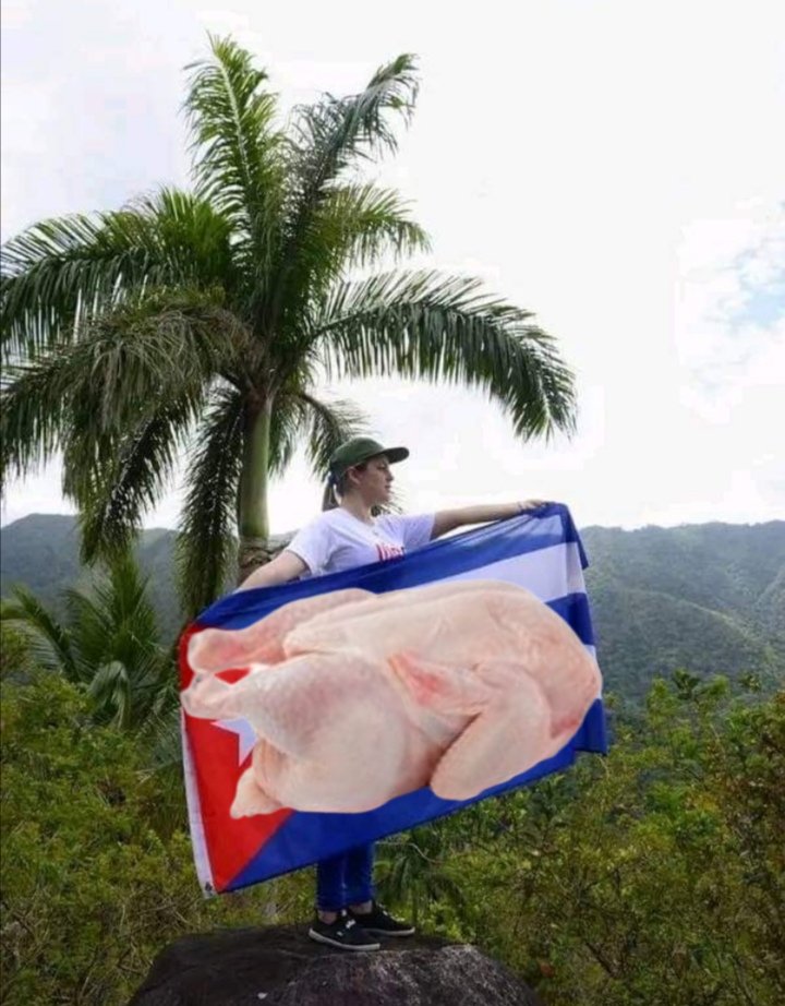 free_qba's tweet photo. @aylinalvarezG @DrRobertoMOjeda @PartidoPCC @DiazCanelB @CMontiller @RPolancoF @JuventudRebelde @KeylaEG72 @MeyvisEstevezE @mirthiajulia @AsambleaCuba @PresidenciaCuba @UJCdeCuba Ñooo, que clase de bodrio te disparaste😬y todo por garantizar el pollo⬇️#PCCTerrorista #EnCubaHayUnaDictadura #LibertadParaLosPresosPoliticos #CubaEsUnEstadoFallido #CubaPaLaCalle #DiazCanelSingao https://t.co/9yCEl9fdeF