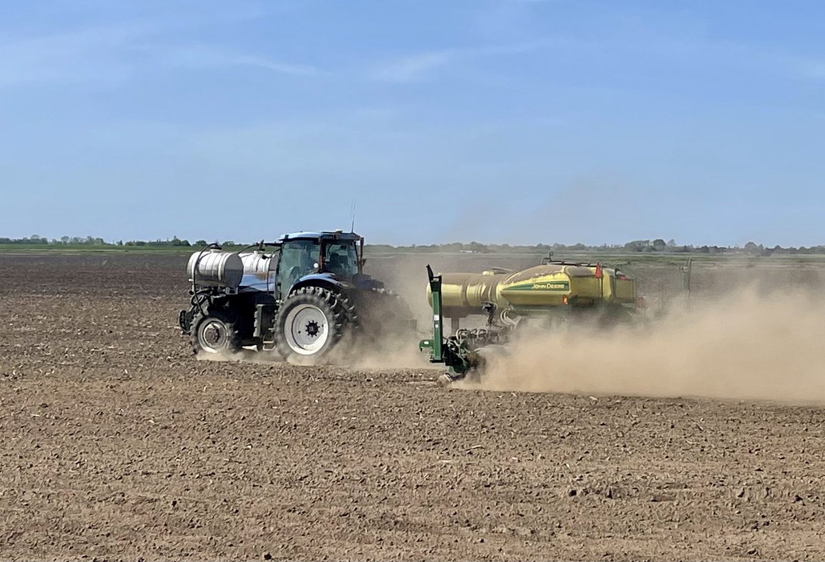 root_jason's tweet photo. P1366AM getting planted in the CA Delta!  #plantpioneer https://t.co/Wst65SWQ4T