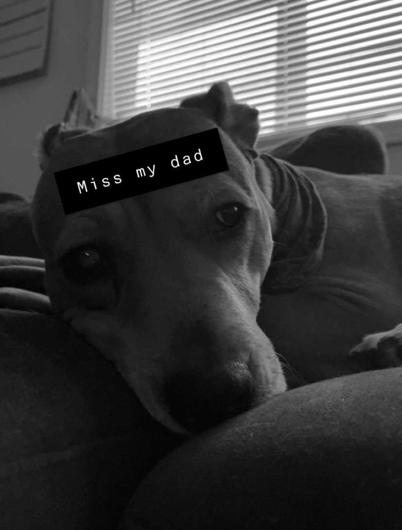 emilyjohnson_30's tweet photo. A sad story. https://t.co/1ekRrM7obI
