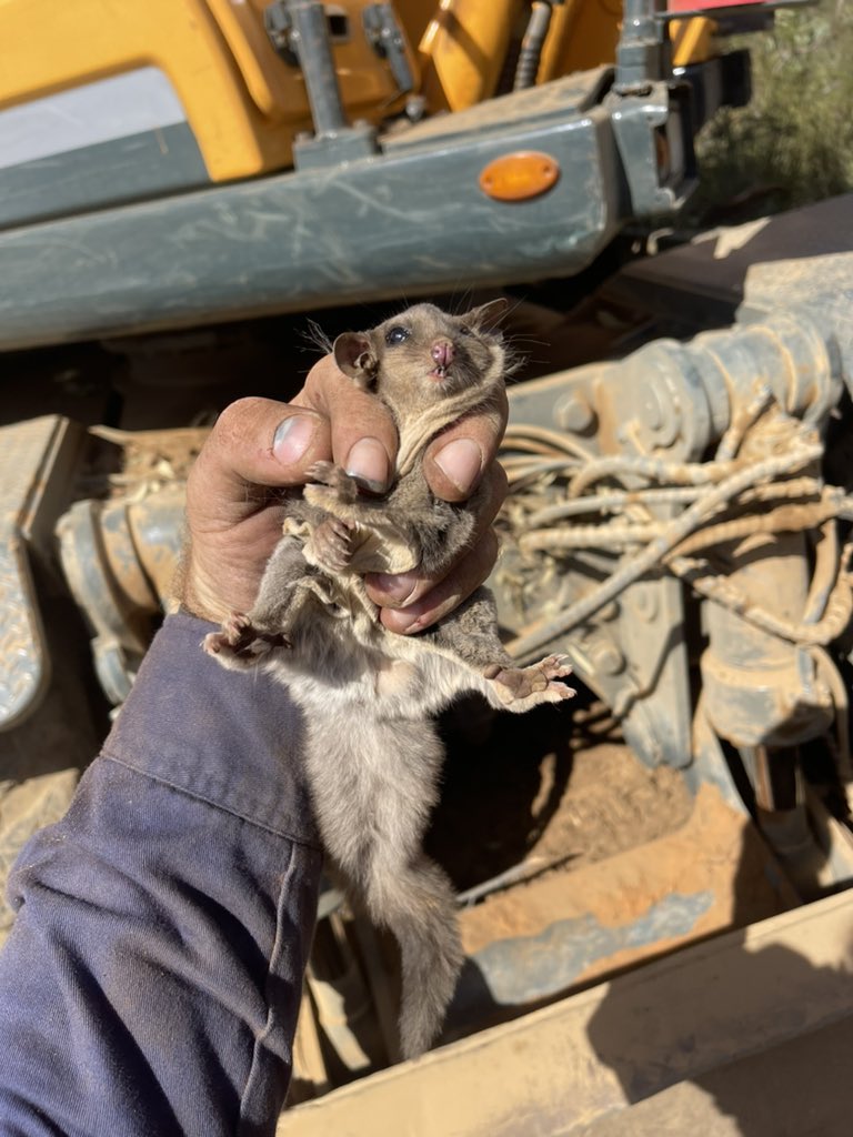 Ash Carolan tweet media