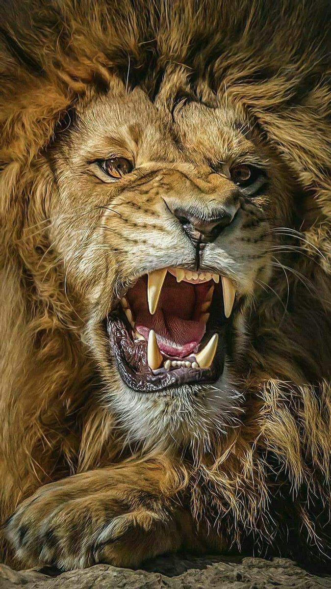 GhanshyamY's tweet photo. *रिश्ता चाहे कोई भी हो, एक बात पक्की है!*
*जिससे हम आशा करते हैं, वही जिंदगी का तमाशा करते हैं!!*

महादेव https://t.co/o301ra1Z0T