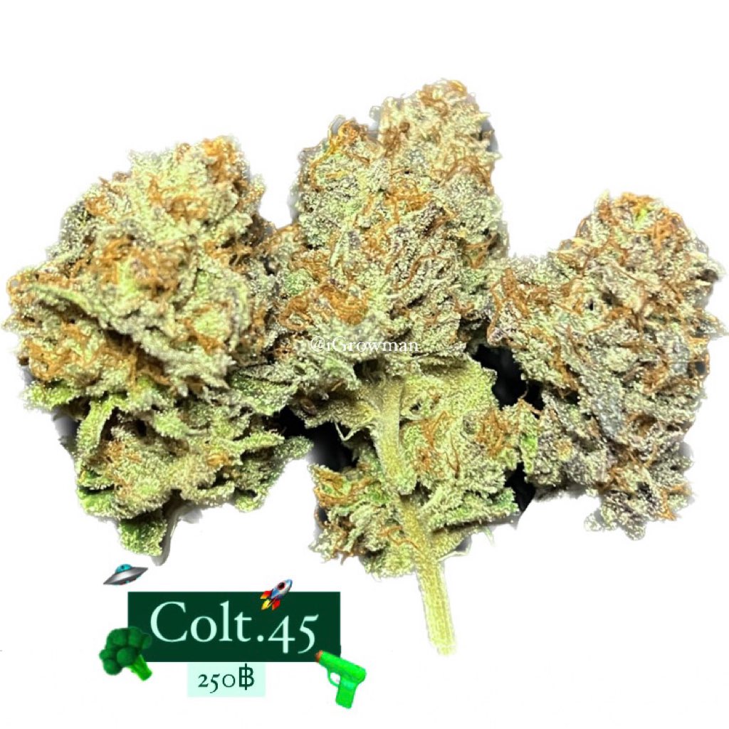 (New) Colt.45 one shot get high
Friends wanted🫱🏻‍🫲🏼 lin.ee/OIrD8xS

#colt #colt45 #weedsaimai #weeddonmuang #weedratchada #HuaiKhwang #weedthailand #cannabisthailand #malijuanathailand #weedbkk #cannabisbkk #weedphuket #weedkrabi #weedchonburi #420thailand #weedthai