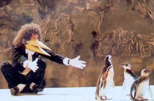 Hermine_H's tweet photo. #世界ペンギンの日 https://t.co/WyhbzDTm1L