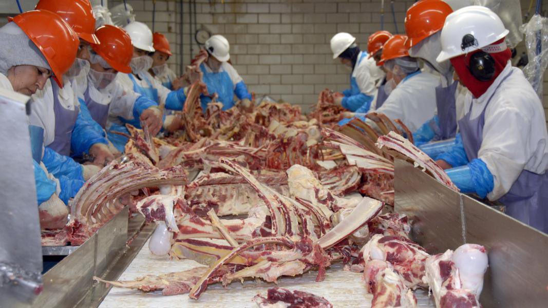 CaringDoctors's tweet photo. Men zou zich wat minder druk moeten maken, hoe je van planten een burger maakt en zich meer zorgen moeten maken, hoe dieren een burger worden. 

De bio-industrie is een ramp voor mens, dier en natuur. https://t.co/HY2mQPE3Lu