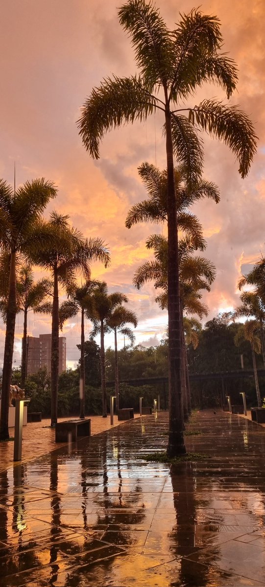 hmantilla72's tweet photo. Cuando en Medellín nos regalan un atardecer. #Atardecer #SunsetLovers #sunsetphotography https://t.co/IpaiHFB2vZ