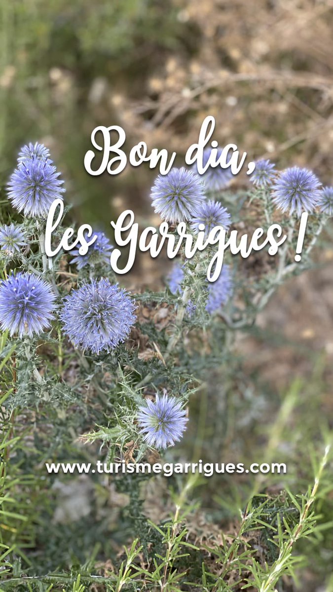 Bon dia, #lesGarrigues !