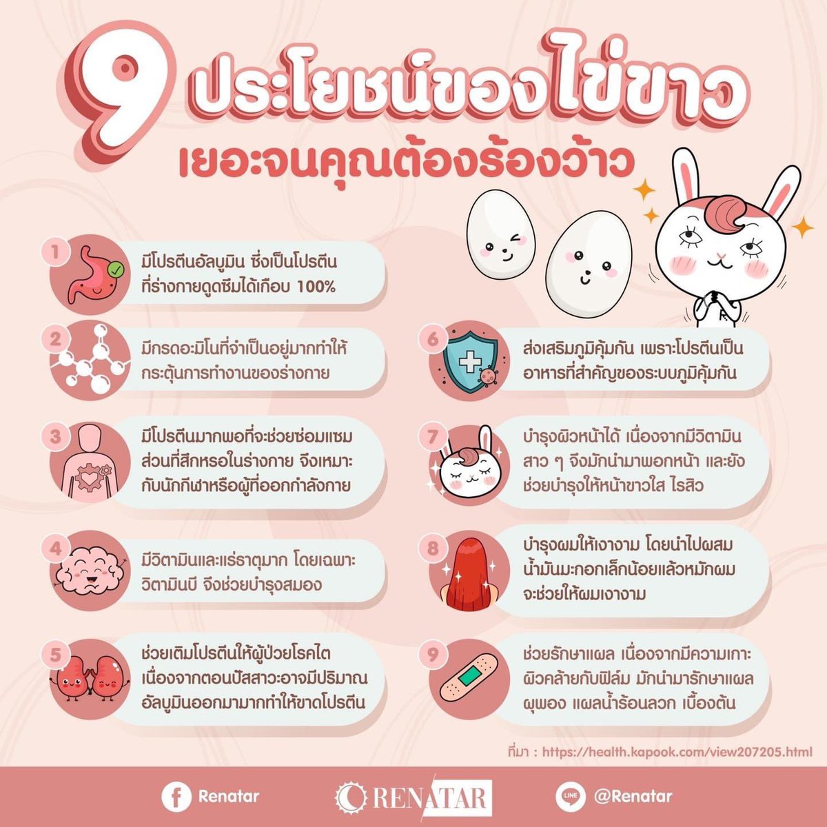 PorpyRenatar's tweet photo. รู้หรือไม่? อาหารที่หาได้ง่ายๆอย่าง “ไข่” นั้นมีประโยชน์มากมาย

#ปอปี้เรนาต้า 
#ultrameทดแทนมื้ออาหาร
#renatar https://t.co/pLniGxCKgc