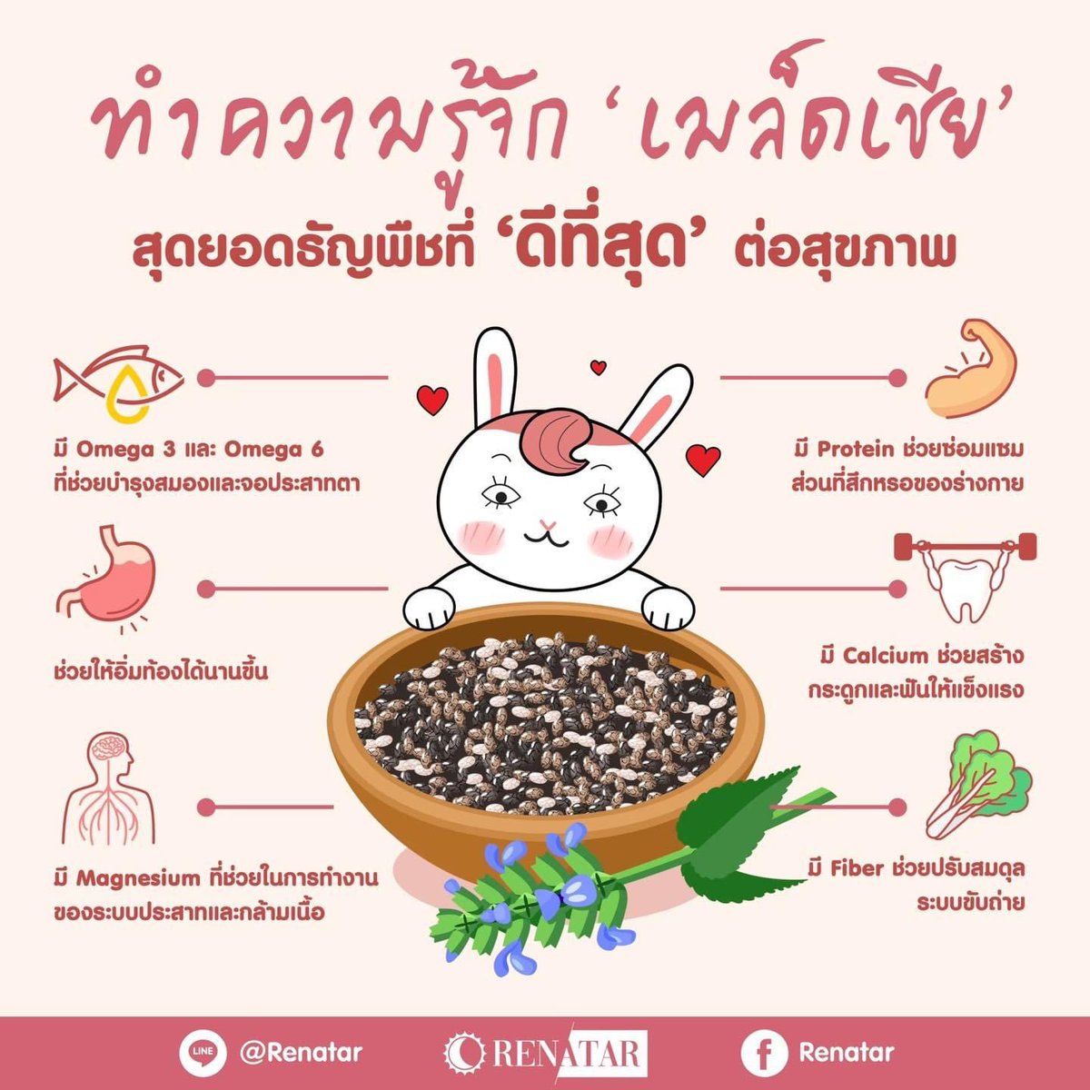 PorpyRenatar's tweet photo. ไหนใครเป็นแฟน “เมล็ดเชีย” บ้าง 

แต่ถ้าใครยังไม่เคยลองทาน มาลองดูประโยชน์ของเค้ากัน ☺️

#ปอปี้เรนาต้า
#ultrameทดแทนมื้ออาหาร
#renatar https://t.co/jfU9ftBD2M