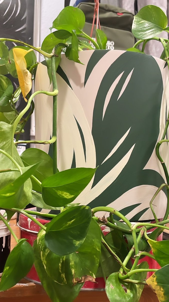 2mobeers's tweet photo. If your reading this, water your plants 🥲 https://t.co/axtpeYLvRC
