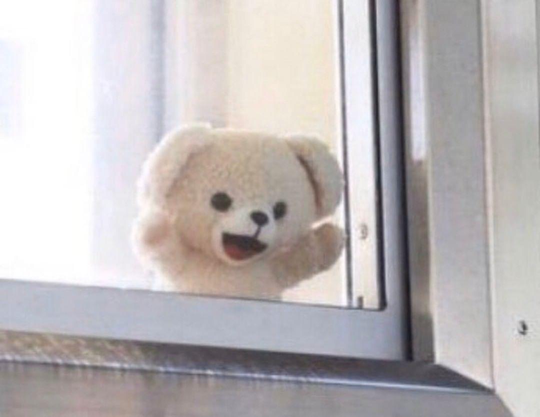 chinni bean🎀 tweet media